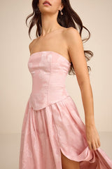 Alanis Light Pink Floral Burnout Lace-Up Maxi Dress