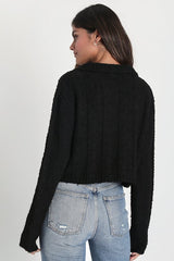Plush Comfort Black Long Sleeve Collared Cropped Sweater Top