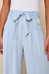 Trend Alert Light Blue Belted High-Waisted Wide-Leg Pants