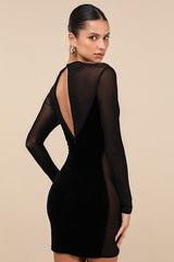 Irresistible Details Black Velvet Mesh Long Sleeve Mini Dress