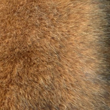 AGLAE COAT