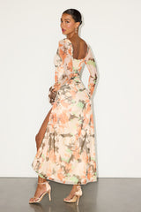 Catlin Cream Multi Floral Mesh Long Sleeve Maxi Dress
