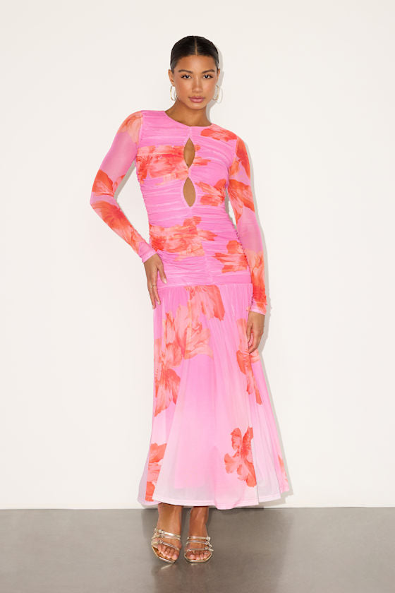 Alexius Pink Floral Mesh Cutout Long Sleeve Maxi Dress