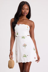 Alex White Embroidered Cutout Mini Dress